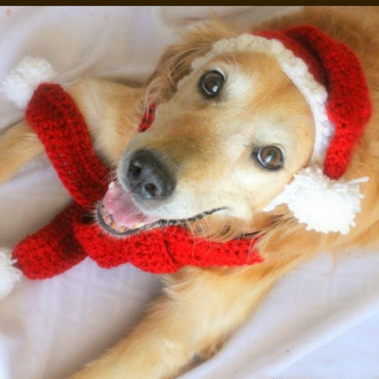 Two-piece Pet Hand-knitted Hat And Scarf