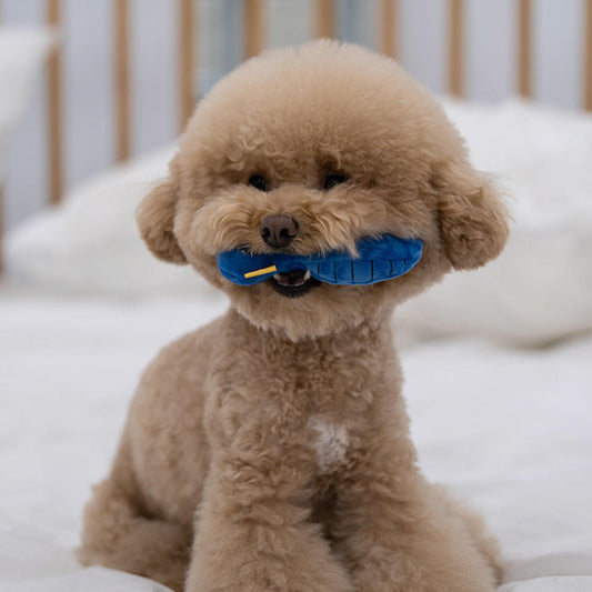 Three-piece Dog Toy Set With Washing Blowing And Haircutting