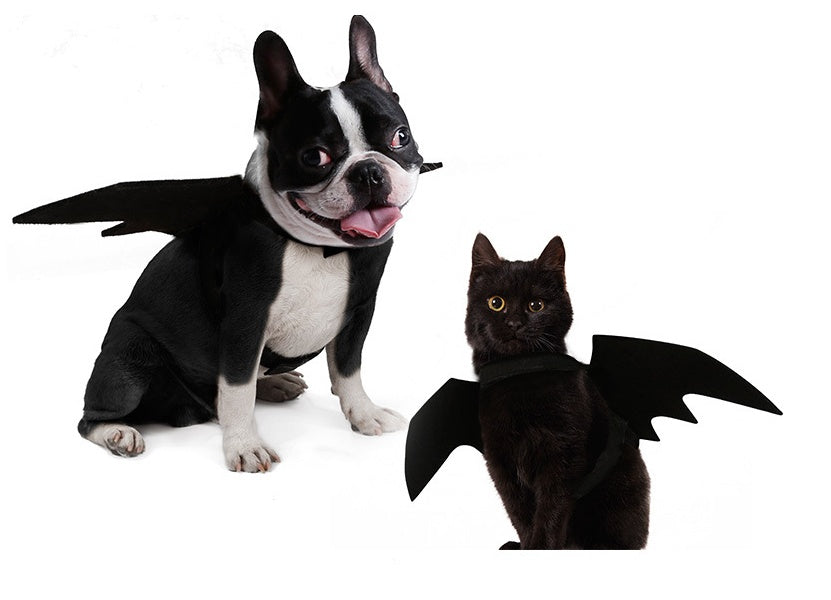 Pet bat wings clothes