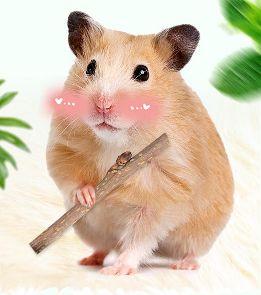 Drying Bunny My Neighbor Totoro Hamster Snacks Branch Chewing Toy