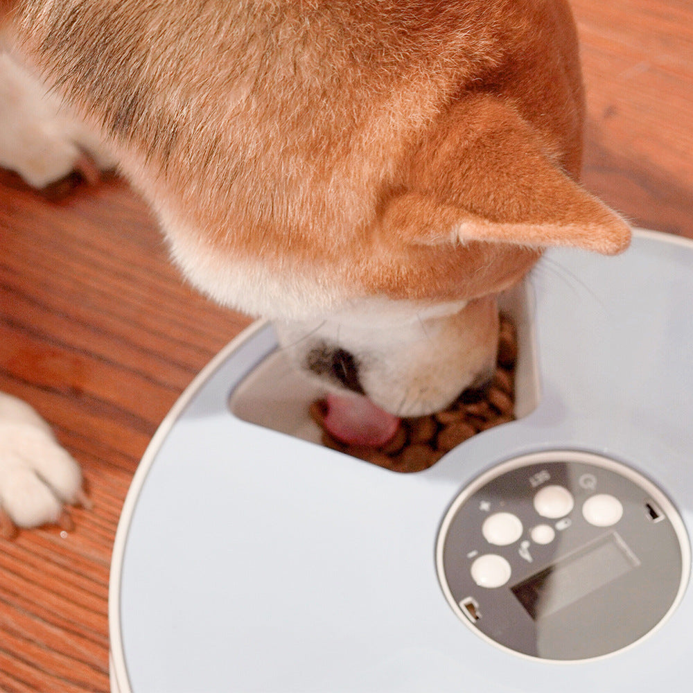 Pet Automatic Round Timing Feeder with 6 Grids Voice Recorder
