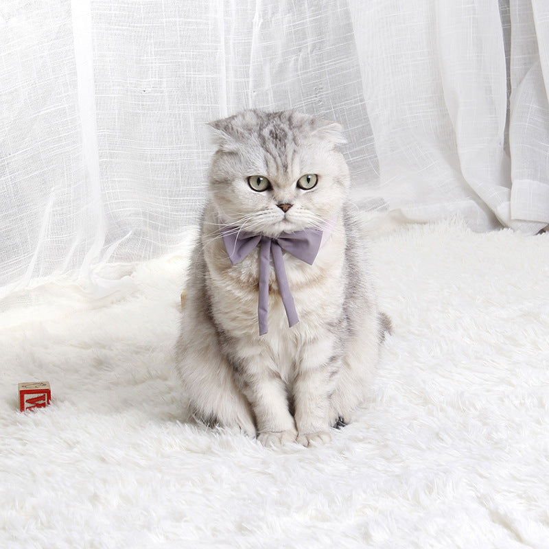 Pet Supplies Bow Tie Wholesale Cute Pet Gentleman Collar Flower