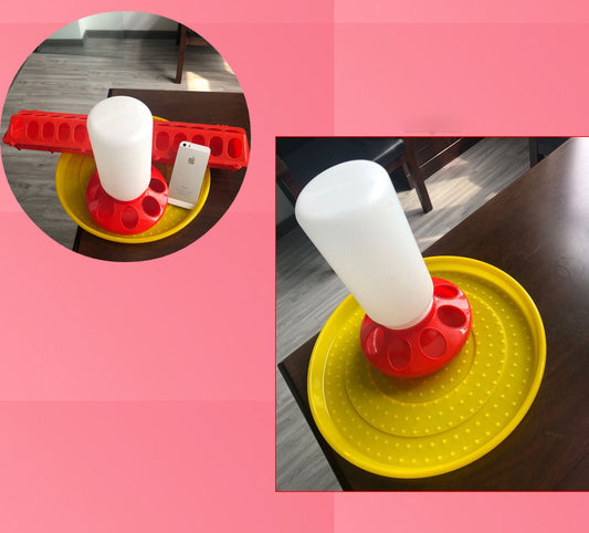 The Bird Feeds The Water Bottle To The Pigeon With A Waterer