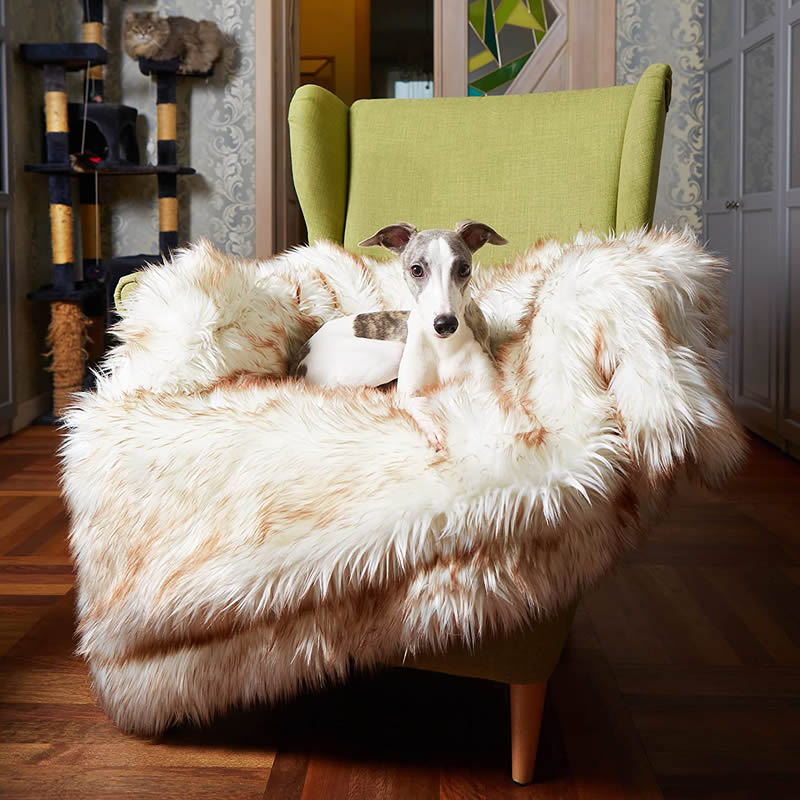 Dog Bed Machine Washable And Waterproof Couch Bed, White With Brown Accents