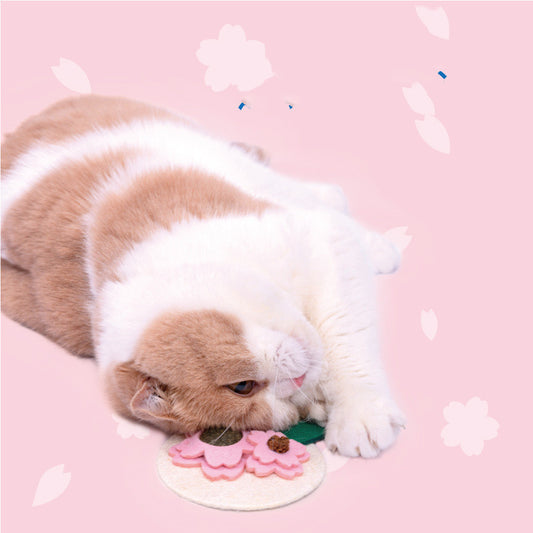 Sakura Fruit Cat Mutian Polygonum Teething Stick Catnip Kitten Teeth Cleaning Toy