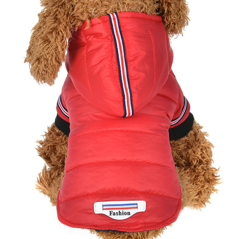 Pet clothes, autumn and winter cotton jacket, small dog