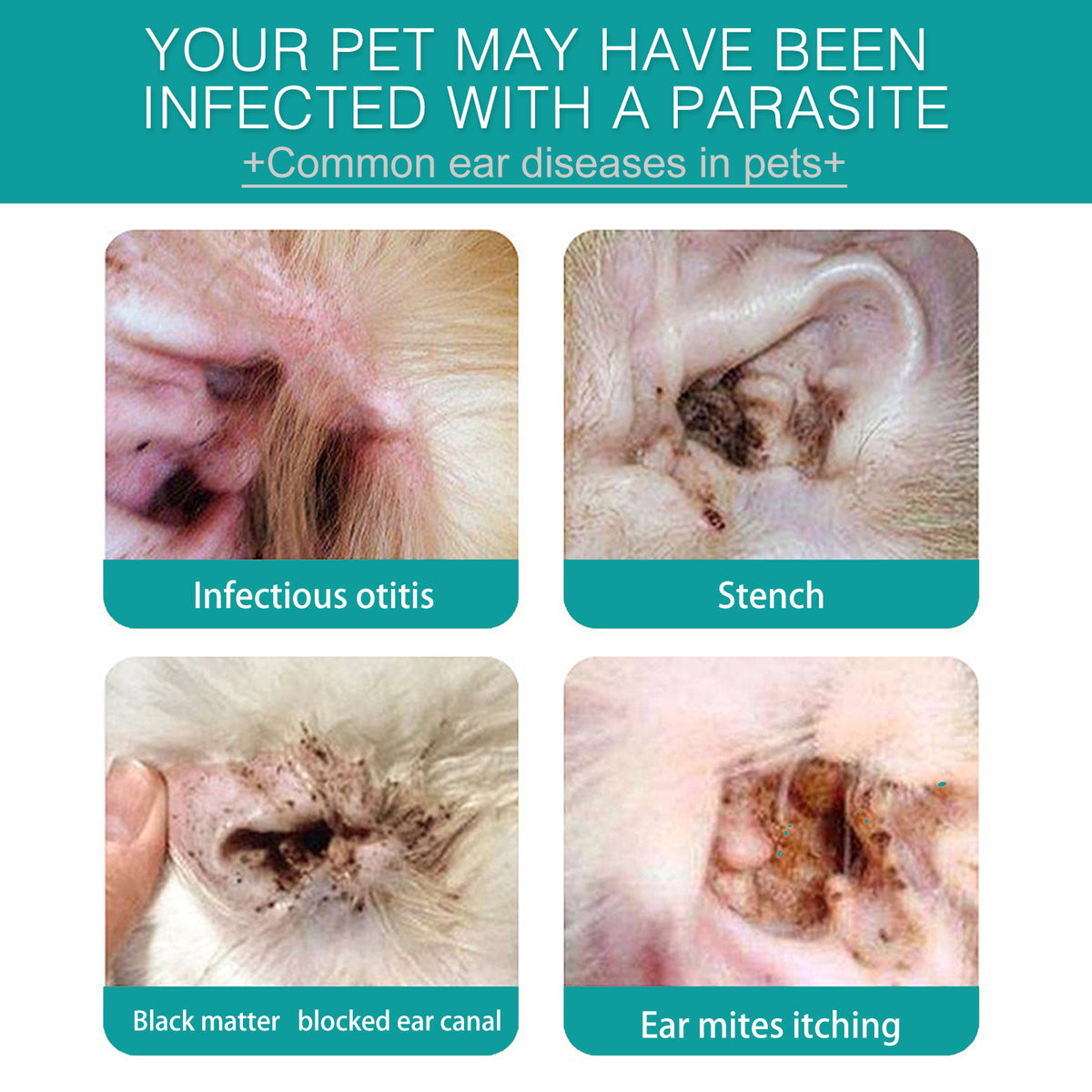 Pet Ear Cleaning Finger Stall Cleaning Cat Dog Ear Mite Earwax Care Meatus Acusticus Cleaning Finger Stall