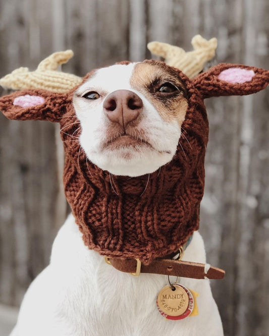 Pet Dog Dinosaur Warm Windproof Halloween Knitted Hat Head Cover