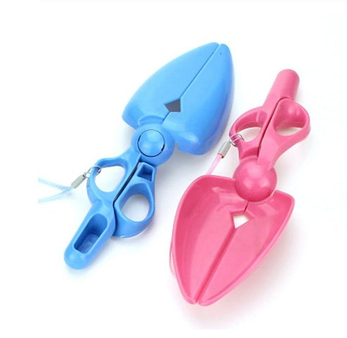 Pet dog picking up the toilet