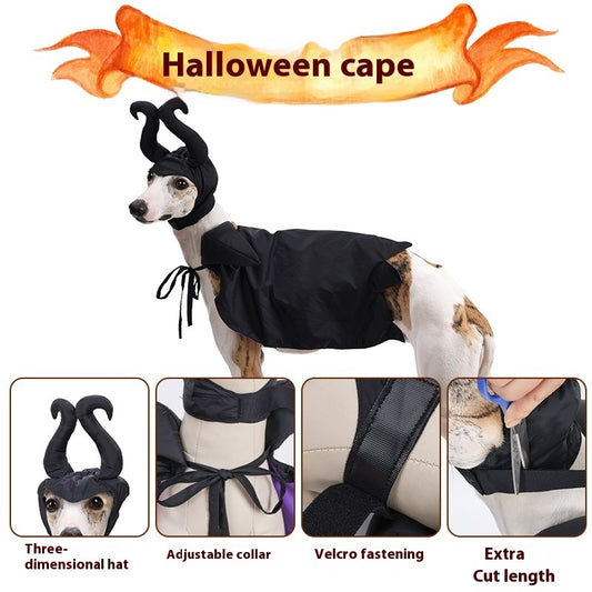 Halloween Dog Cloak With Hat Pet Clothing