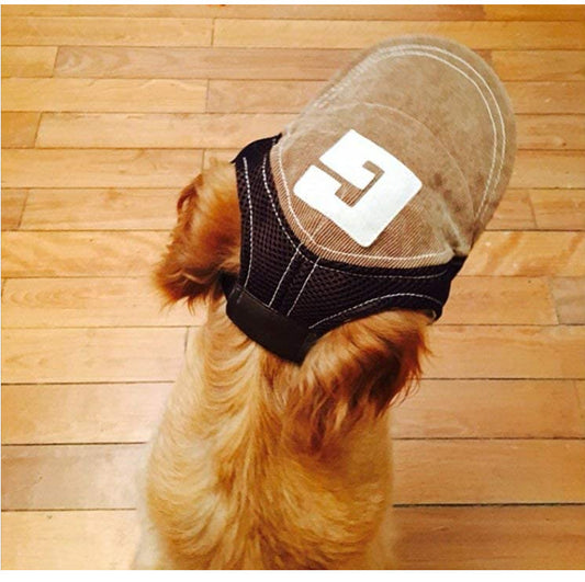 Pet Hat Sports Sunscreen Dog Breathable