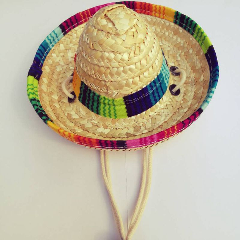 Straw mini pet straw hat