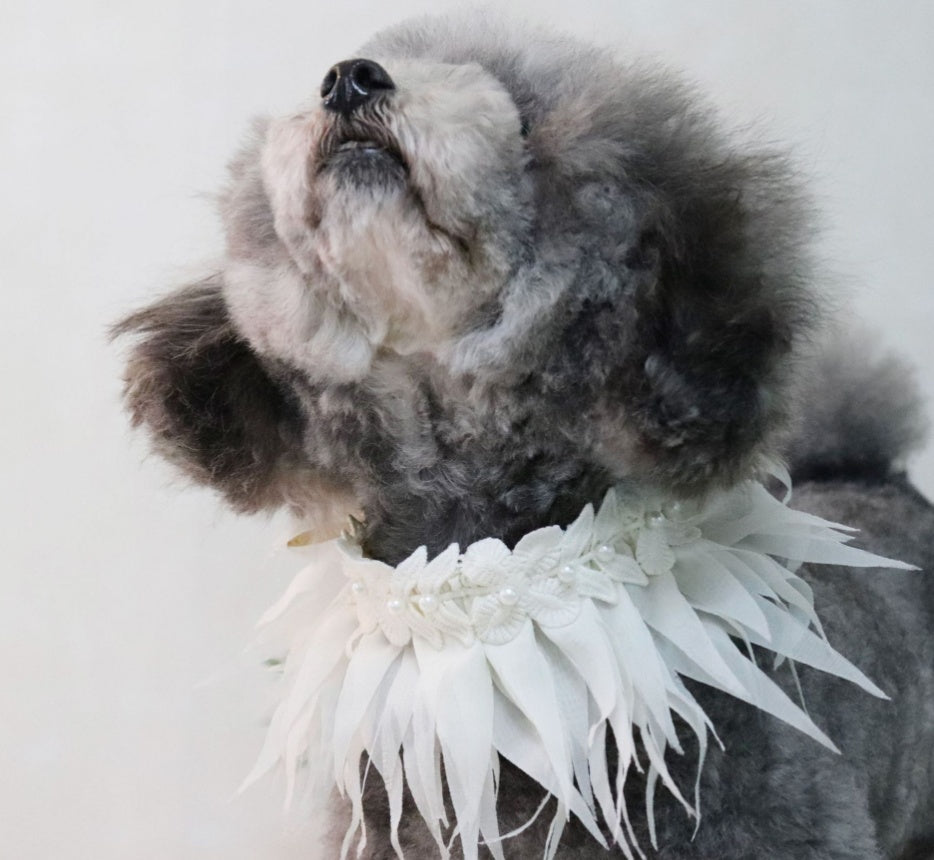 Hula Style Pet Collar Dog Saliva Towel Bib