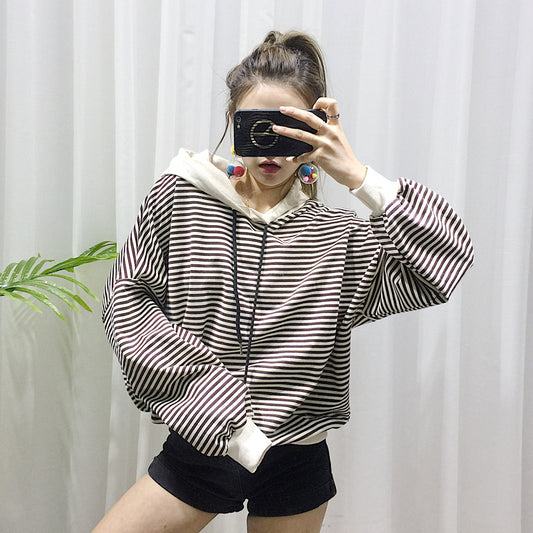 Dog Terry Sweater Teddy Small Dog Fashion Brand Clothes