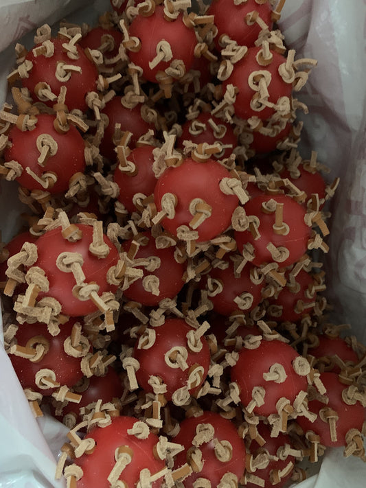 Parrot Plastic Interactive Chewing Ball