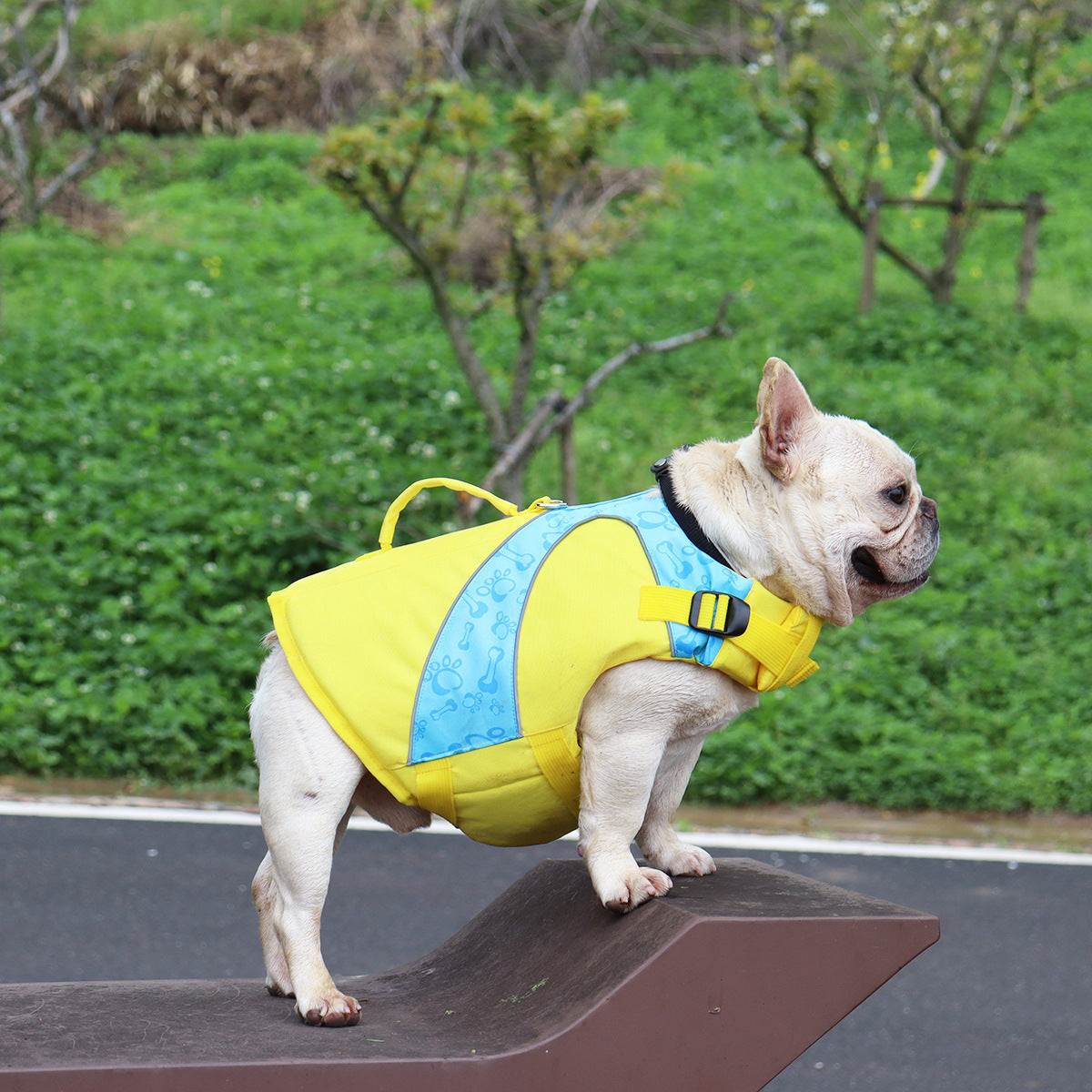 Bright Color Contrast Dog Life Jacket Swimsuit
