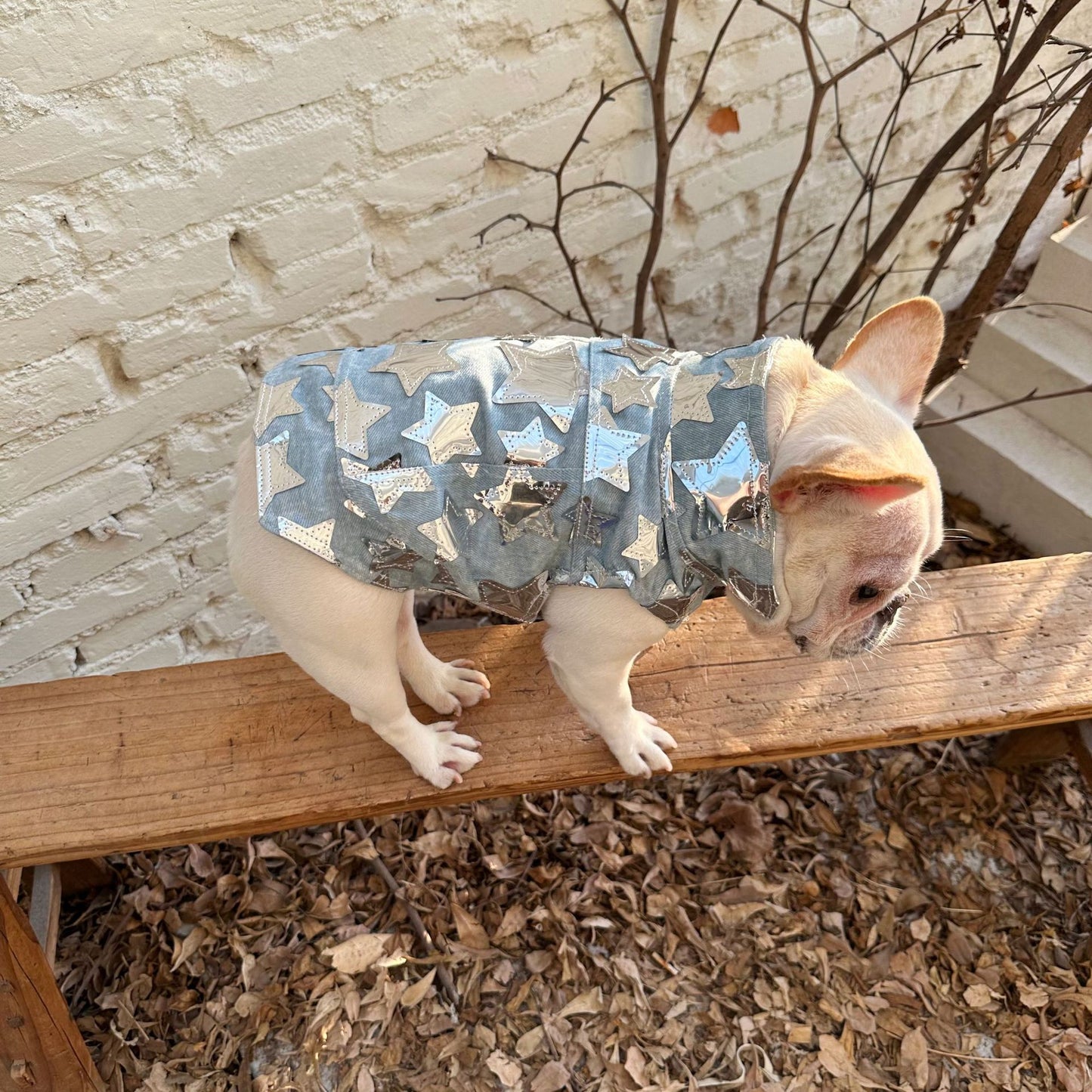 Pet Cat And Dog Summer Thin Denim Vest Jacket