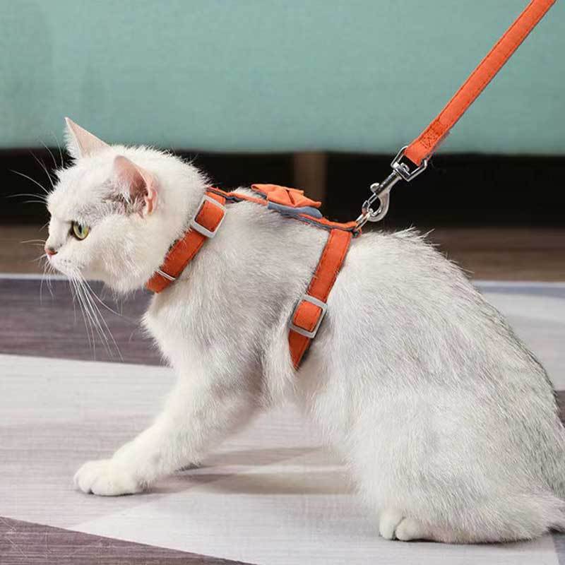 Pet Cat Bow Color-blocked Cotton-filled Leash