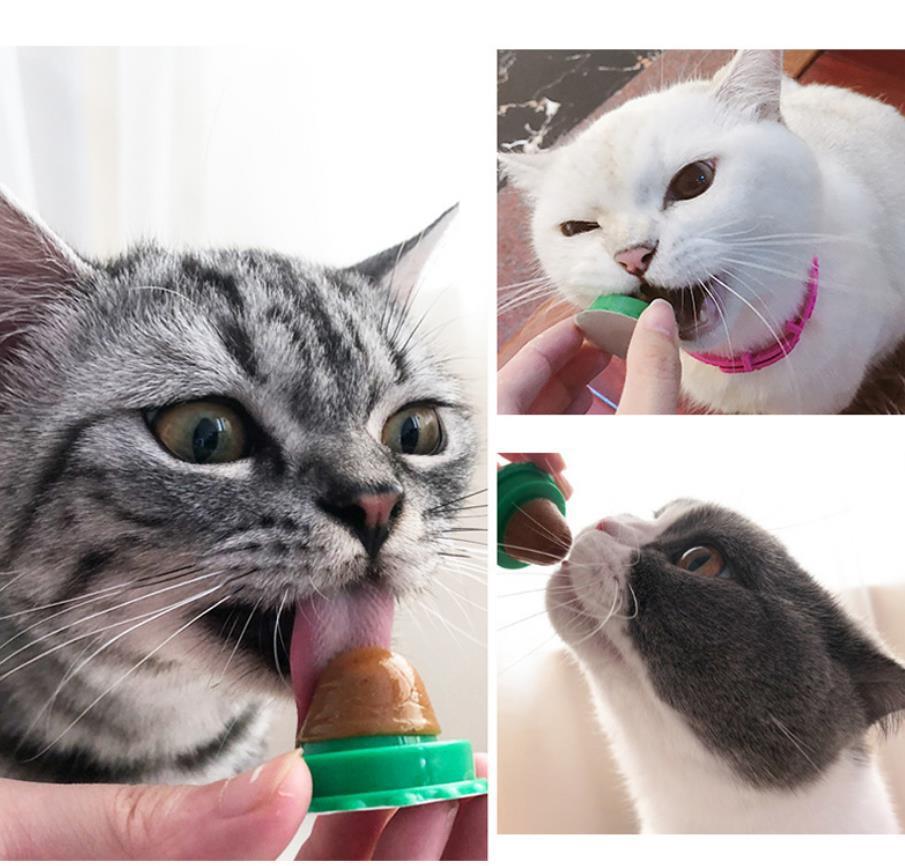 Pet Cat Sugar Cat Licking Le Cat Snack Fixed
