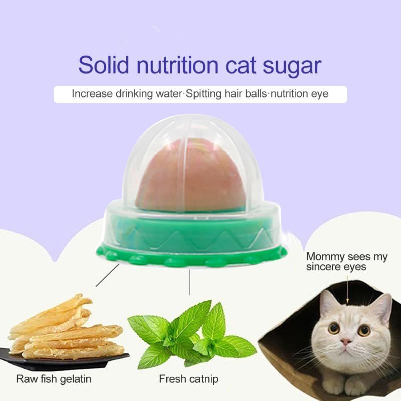 Pet Cat Sugar Cat Licking Le Cat Snack Fixed