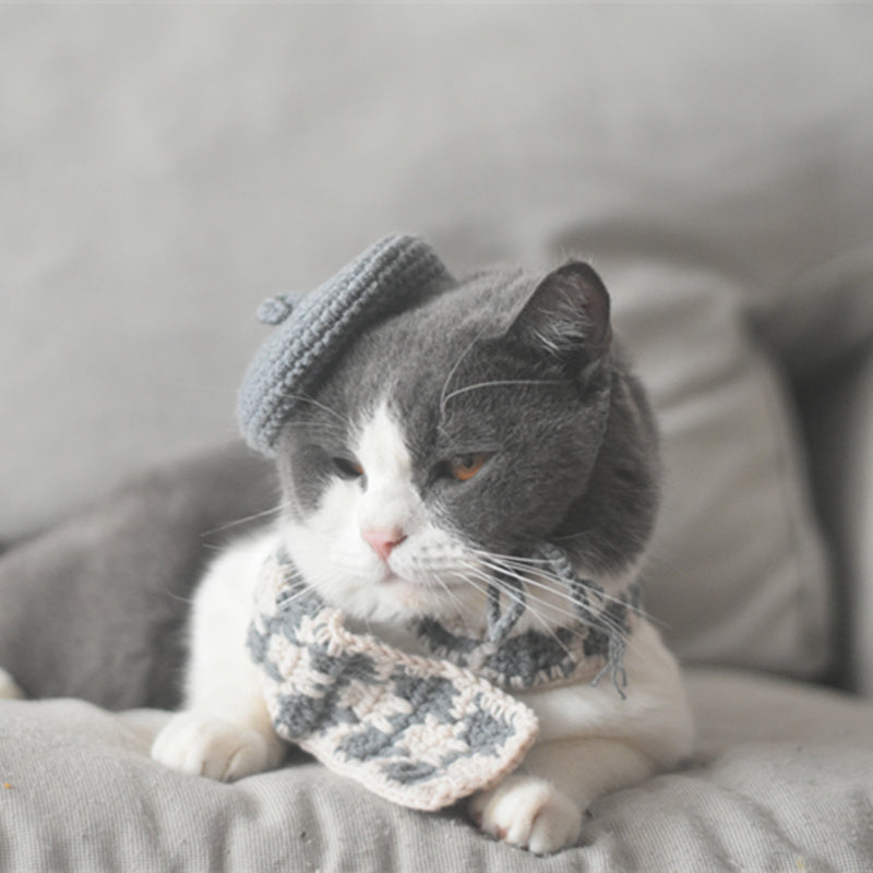 Small Hat Beret Knitting Plaid Small Scarf Dog