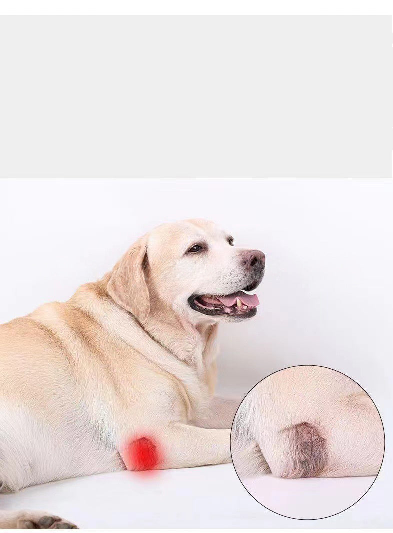 Dog Leg Support Protector, Front And Rear Leg Adjustment, Fixed Strap, Knee Brace For Injuries, Leg Protector For Dogs
