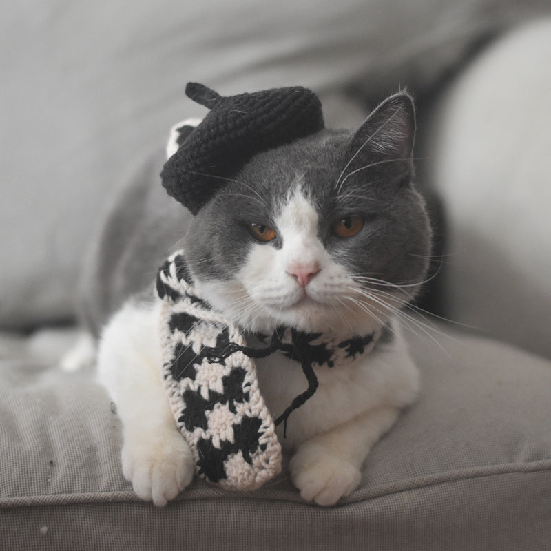 Small Hat Beret Knitting Plaid Small Scarf Dog