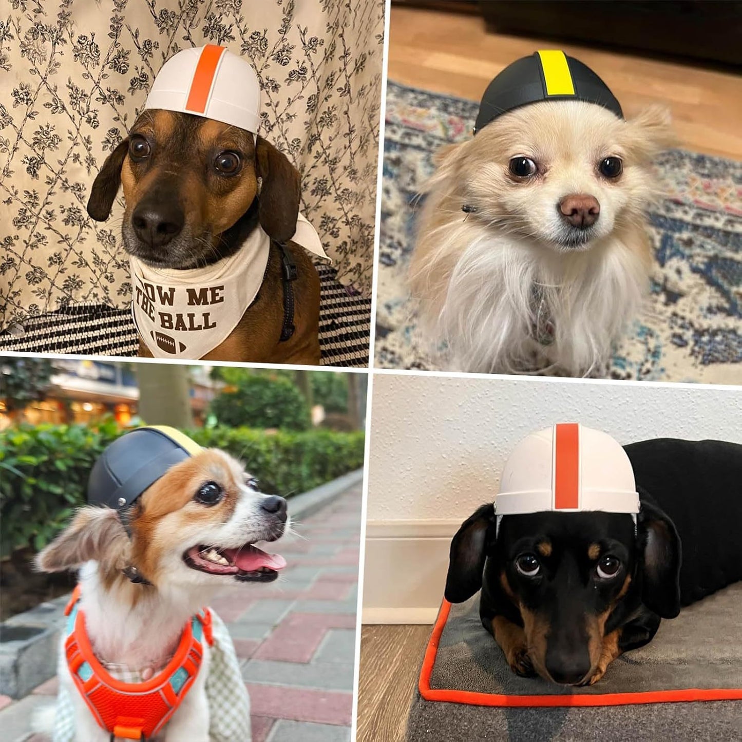 Pet Ride Motorcycle Safety Helmet