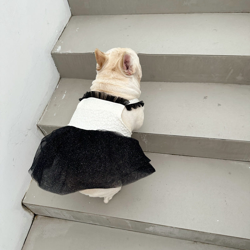 Pomeranian Small Dog Jarre Aero Bull Dress