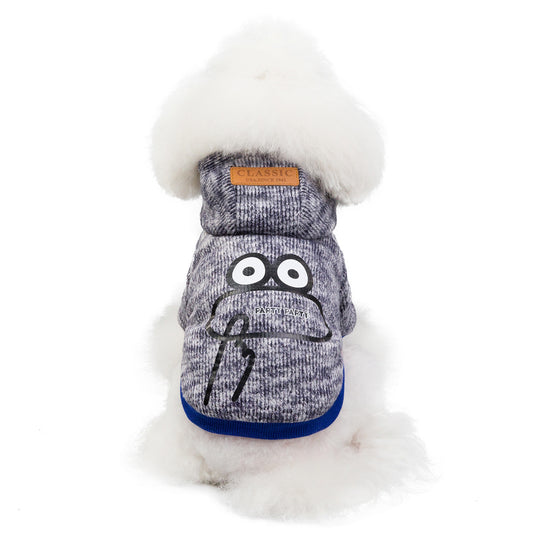 Teddy dog clothes