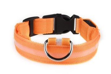 Rechargeable LED Collar