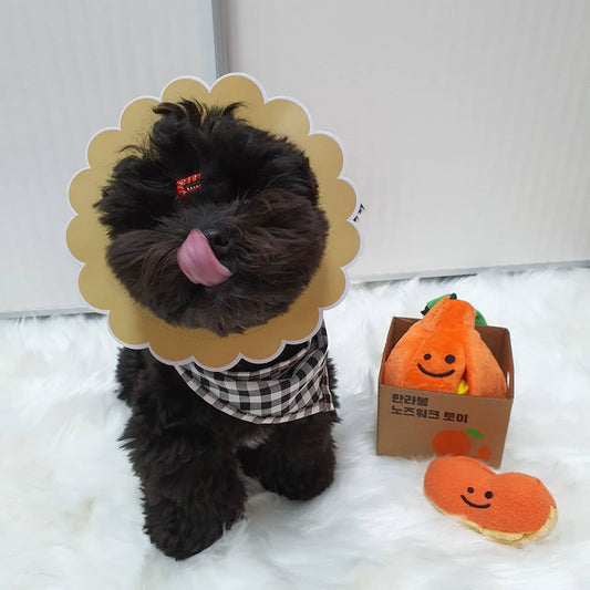 Ugly Orange Tibetan Food Toy Foreign Trade Original Single Dog Sounding Toy