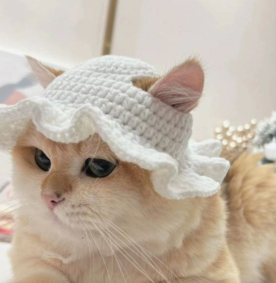 Spring And Summer Plankton Young Wool Knitted British Short Pet Hat
