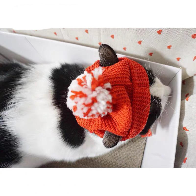 Red Festive Sweater Hat Christmas New Year Series