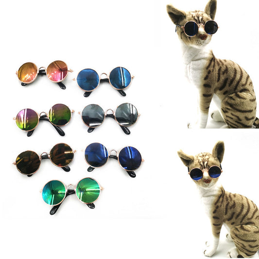 Pet Glasses Cool Eccentric Personality