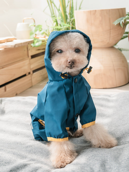 Teddy Schnauzer Bichon Poncho