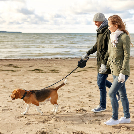 Outdoor Dog Walking Portable Three-in-one Kettle Hand Holding Rope