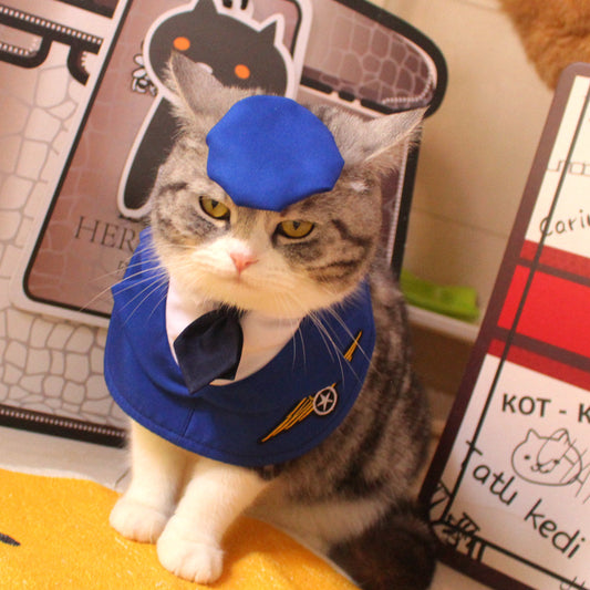 Fashion Personalized Pet Fighter Clothing Neck