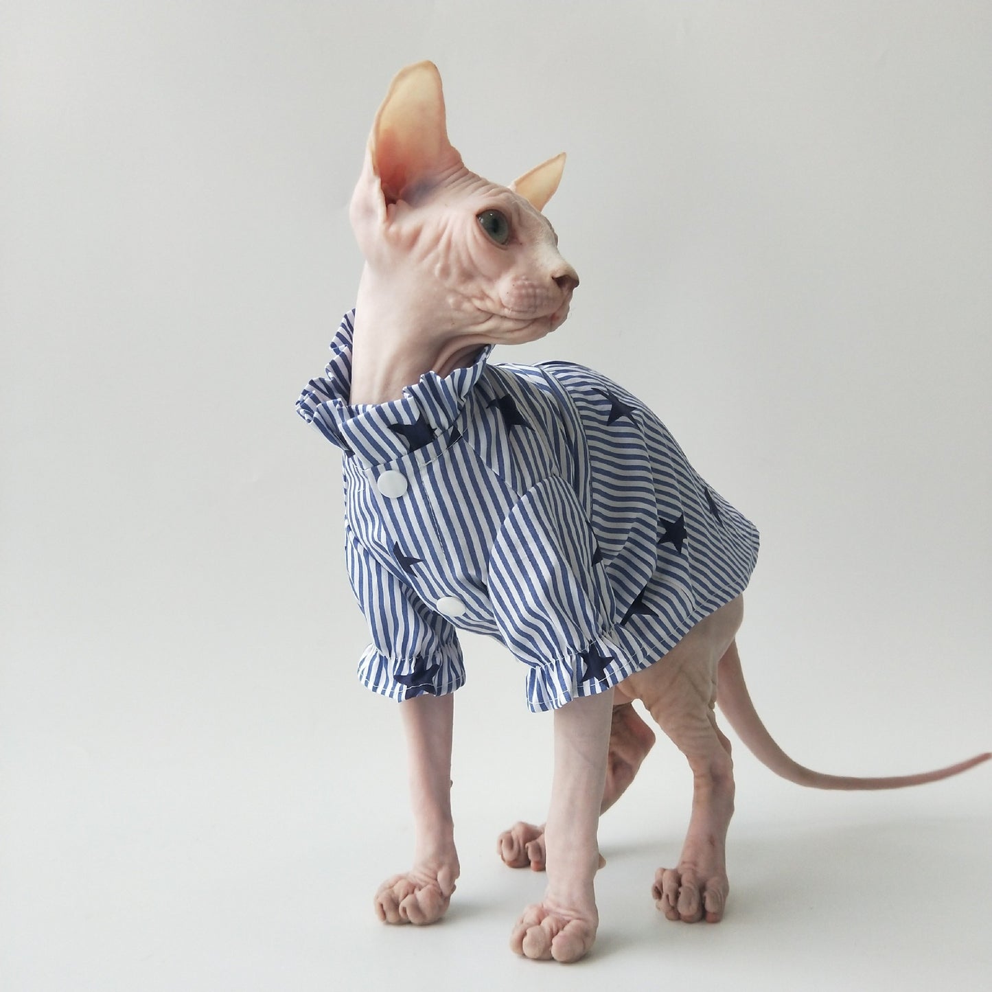 Thin Cotton Shirt Breathable Refreshing Sphinx Hairless Cat German