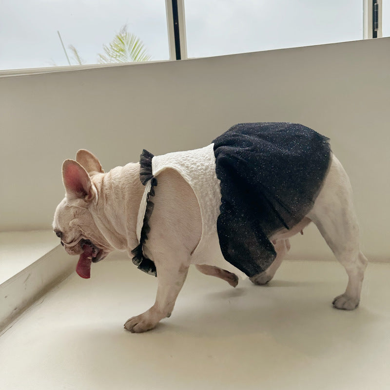 Pomeranian Small Dog Jarre Aero Bull Dress