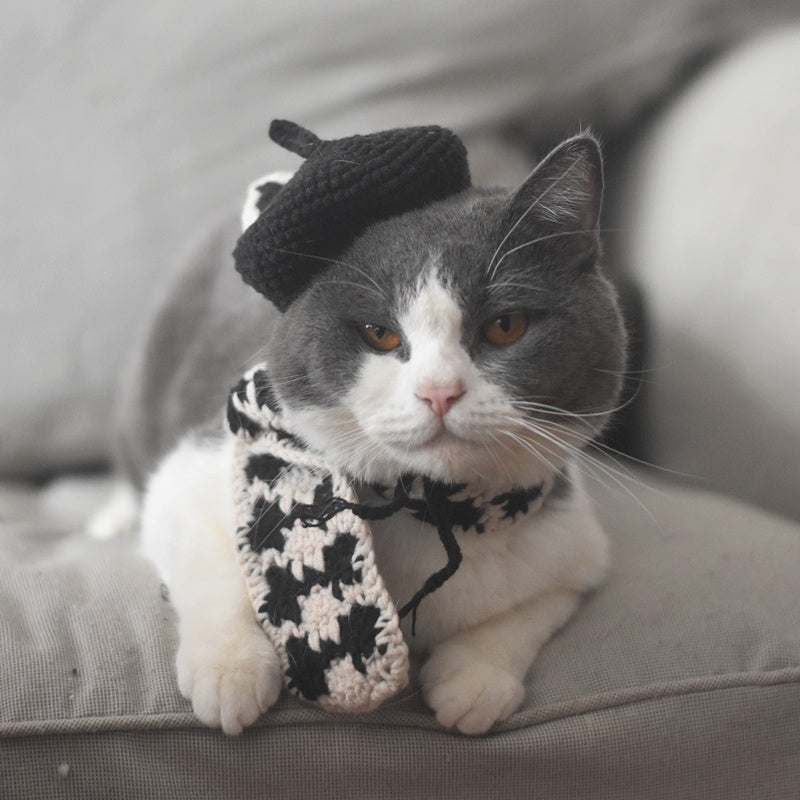 Small Hat Beret Knitting Plaid Small Scarf Dog