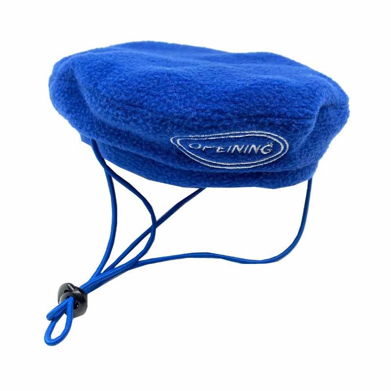 Pure Color Simple Pet Dog With Beret