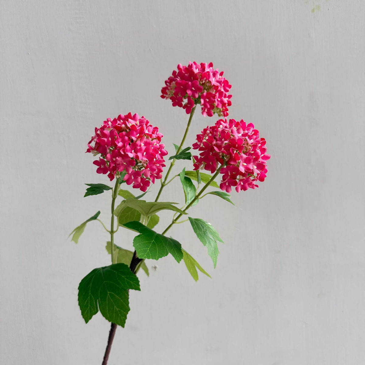 Flowers Hydrangeas SnowballsSmall Home Furnishings