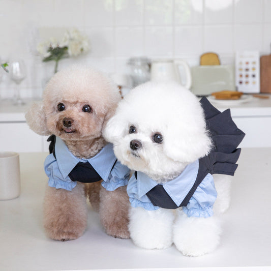 Fashionable Warm Cute Teddy Dog Clothing
