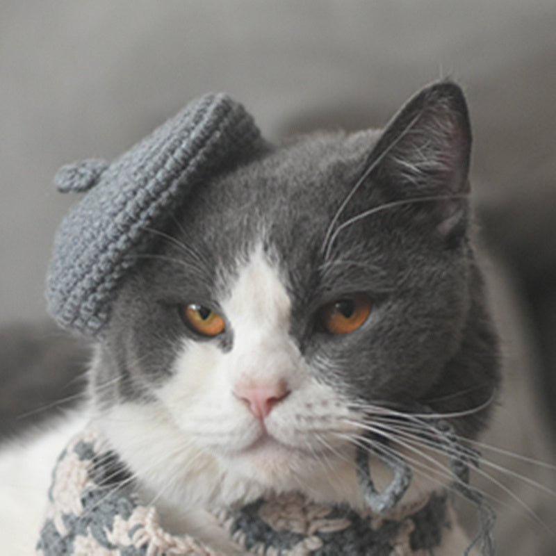 Small Hat Beret Knitting Plaid Small Scarf Dog