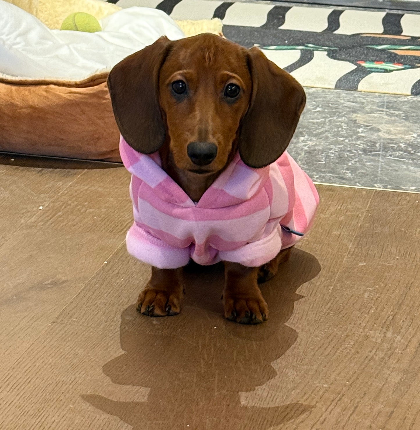 Pet Autumn And Winter Thin Velvet Hooded Pink Striped Sweater