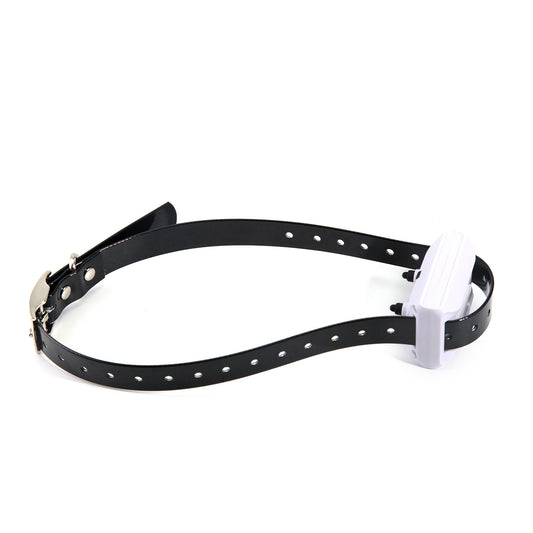 Pet wireless electronic fence