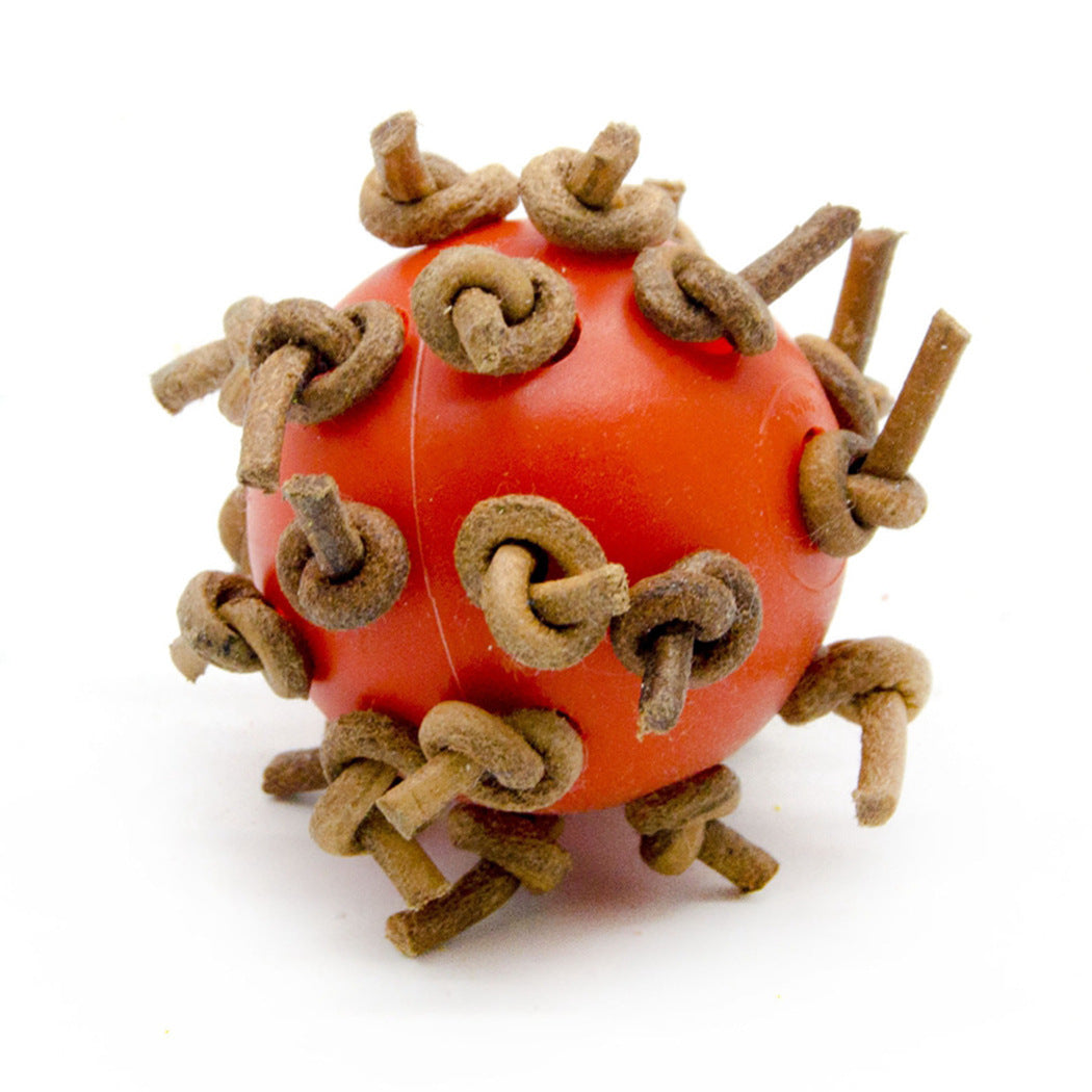 Parrot Plastic Interactive Chewing Ball