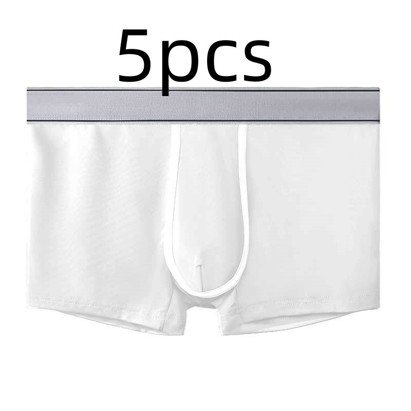 Men's Ice Silk Antibacterial Ultra Thin Sexy Transparent Boys Sports Underwear