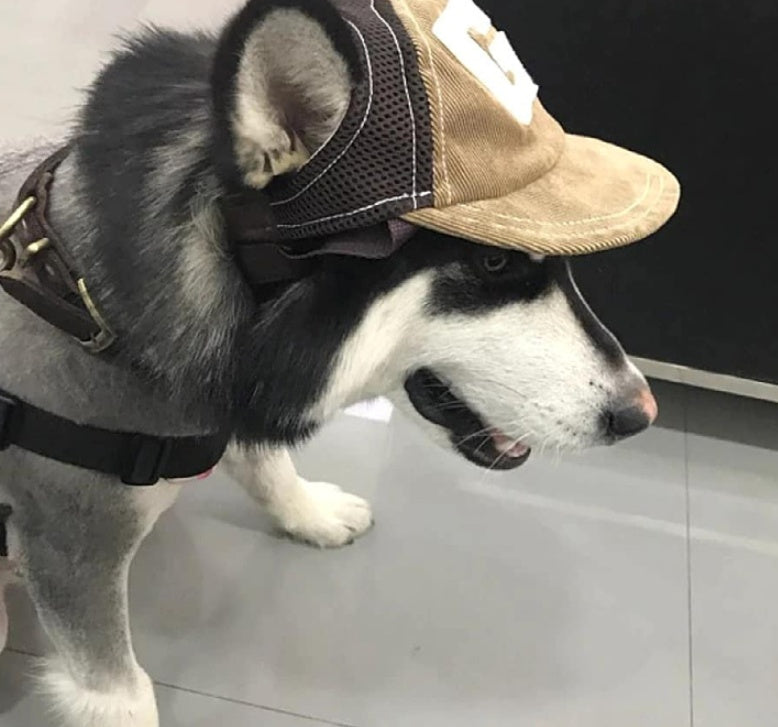Pet Hat Sports Sunscreen Dog Breathable